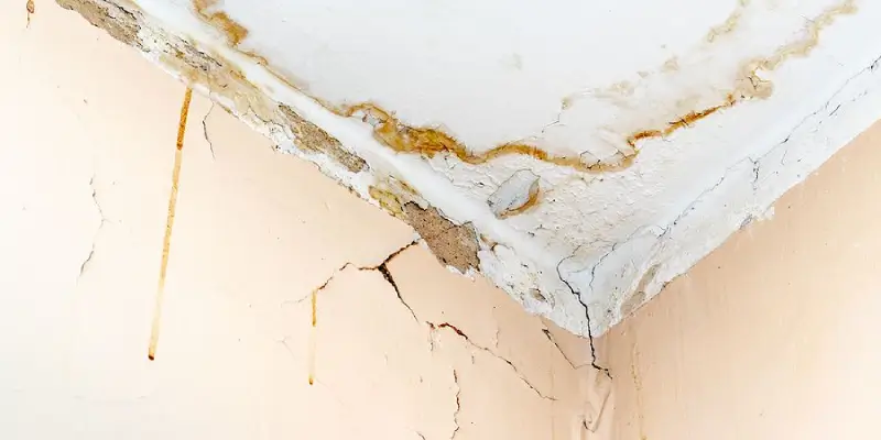 a photo of brown stains in the corner of a wall which have been caused by water damage within the house